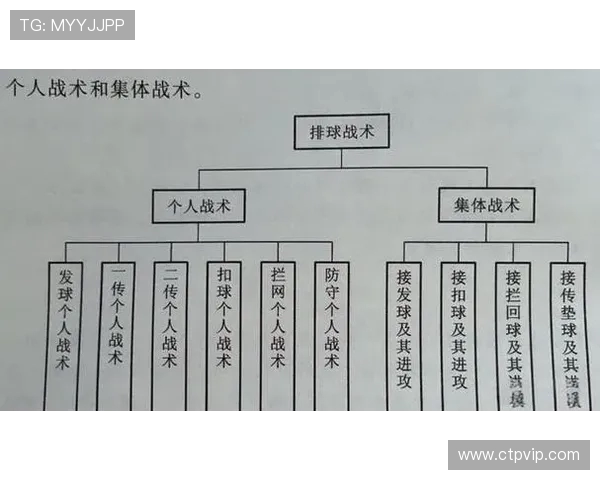 广州排球队中路突破的战术解析与深度剖析